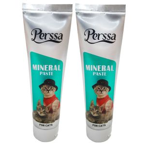 خمیر مینرال گربه پرسا مدل mineral paste وزن 100 گرم بسته 2 عددی